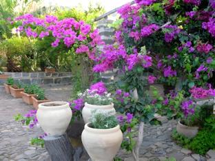 agriturismo hibiscus