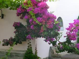 agriturismo hibiscus