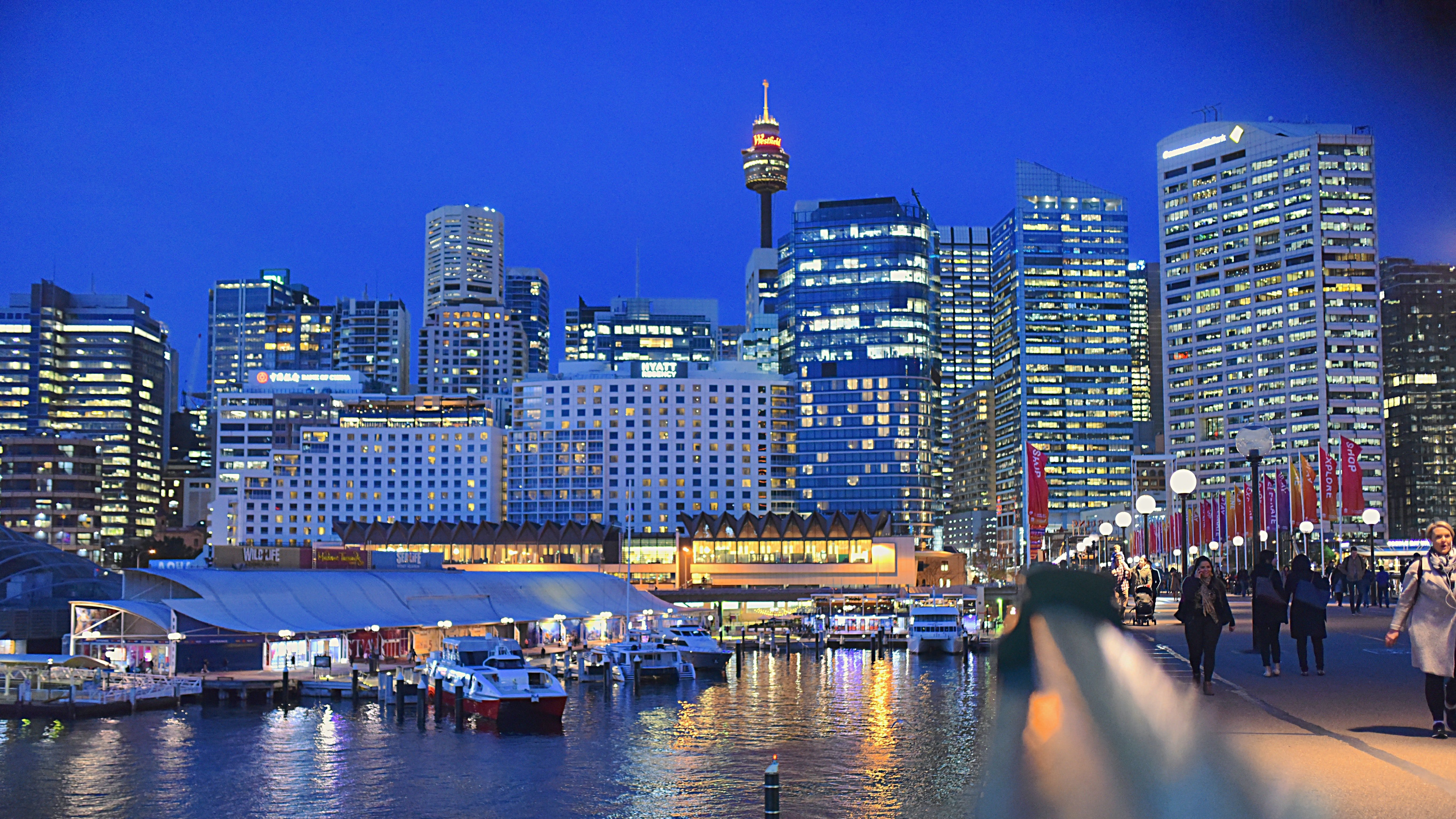 crowne plaza sydney darling harbour an ihg hotel