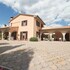 cecina