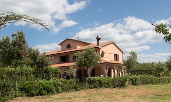 cecina