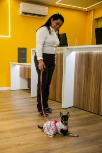 ibis styles belem batista campos