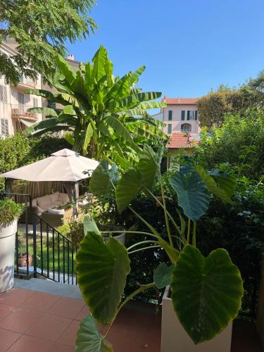 palazzo cini luxury rooms in pisa