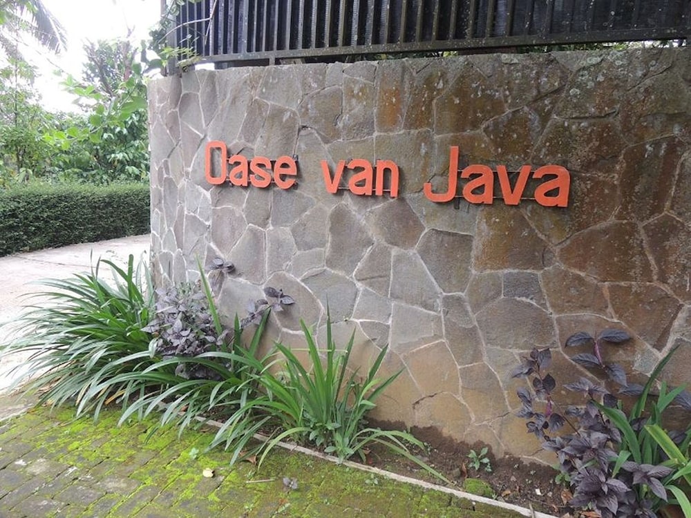 oase van java by zuzu