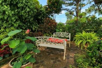 labuana homestay and cafe garden