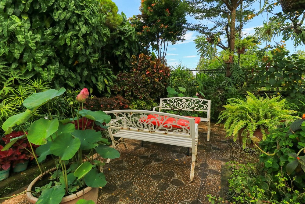 labuana homestay and cafe garden