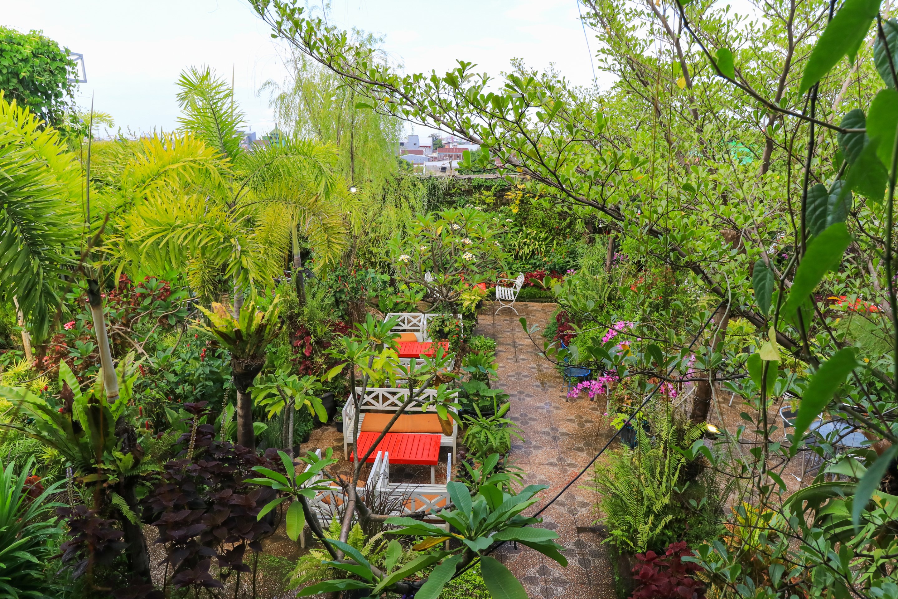 labuana homestay and cafe garden