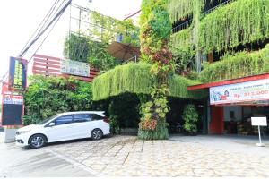 labuana homestay and cafe garden