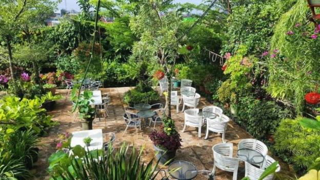labuana homestay and cafe garden