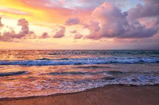 labuana homestay and cafe garden