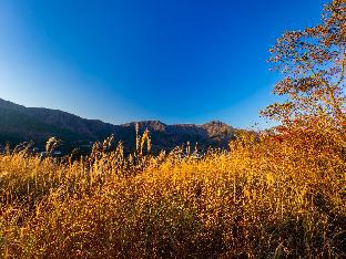 hakone