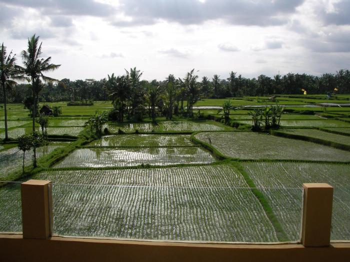 green field hotel and restaurant
