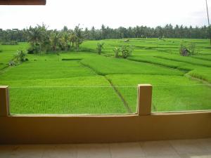 green field hotel and restaurant