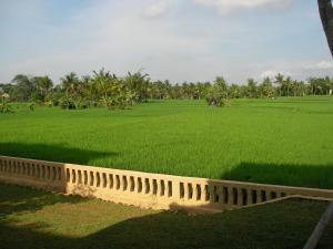 green field hotel and restaurant
