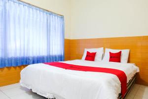 reddoorz near stab syailendra kopeng