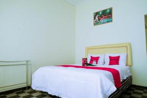 reddoorz near stab syailendra kopeng