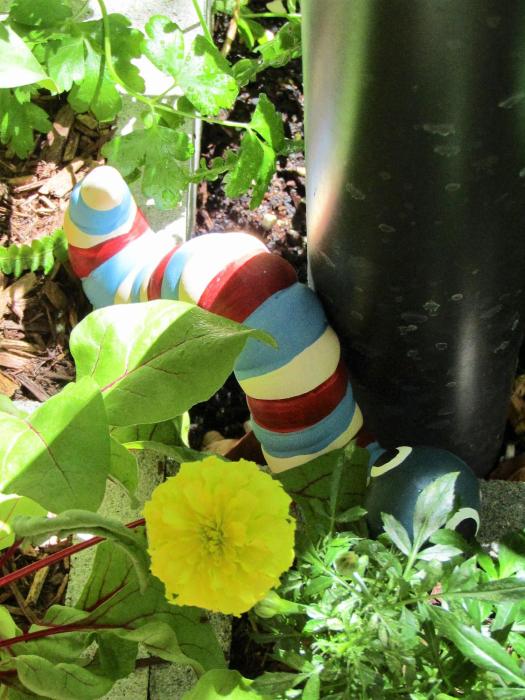 sunlit waters studio apartments