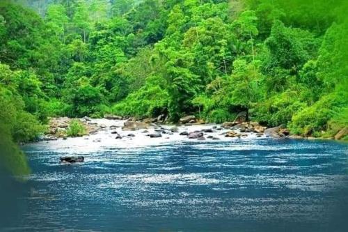 Evergreen Villa - Sinharaja,In Kotapola,3 star