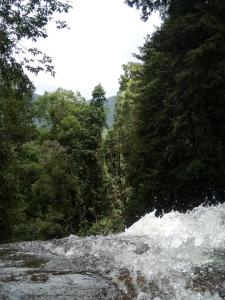 kotapola