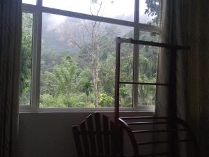 kotapola