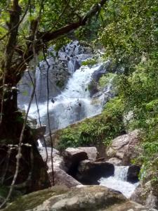 kotapola