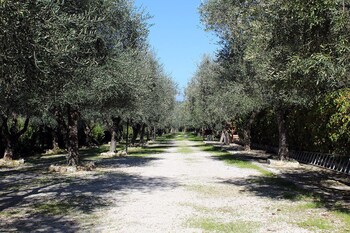 agriturismo fara del falco