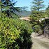 agriturismo fara del falco