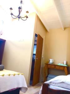 tierra de glaciares aparts cabanas