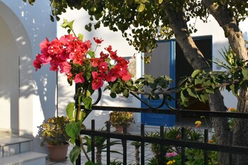 dedalos studios naxos