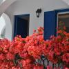 dedalos studios naxos