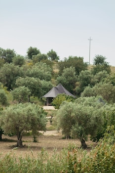 avola