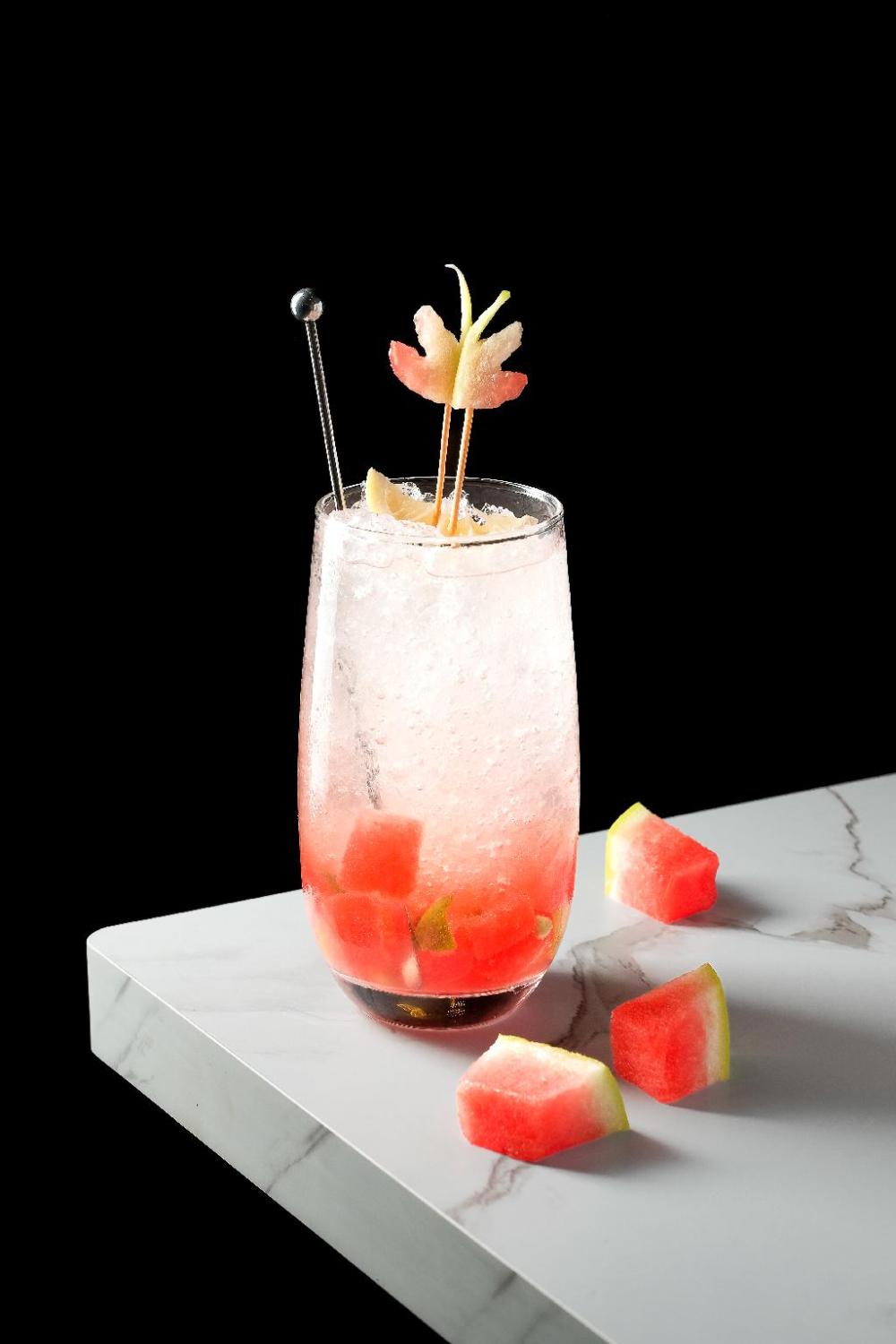 vcdu prince hotel inc