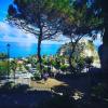 tropea