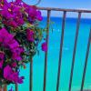 tropea