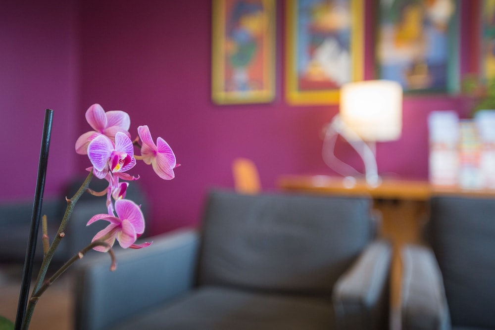 acama hotel and hostel kreuzberg