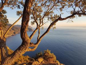 il laghello di amina