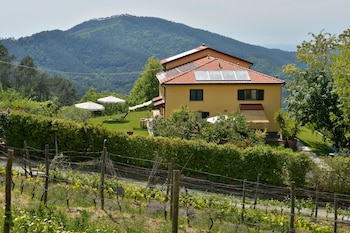 il laghello di amina