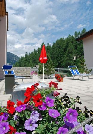 sils im engadin segl