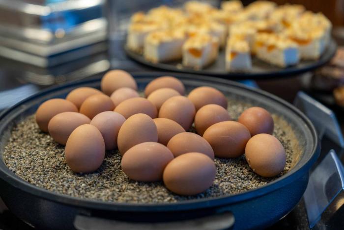 best western plus plaza berlin kurfuerstendamm