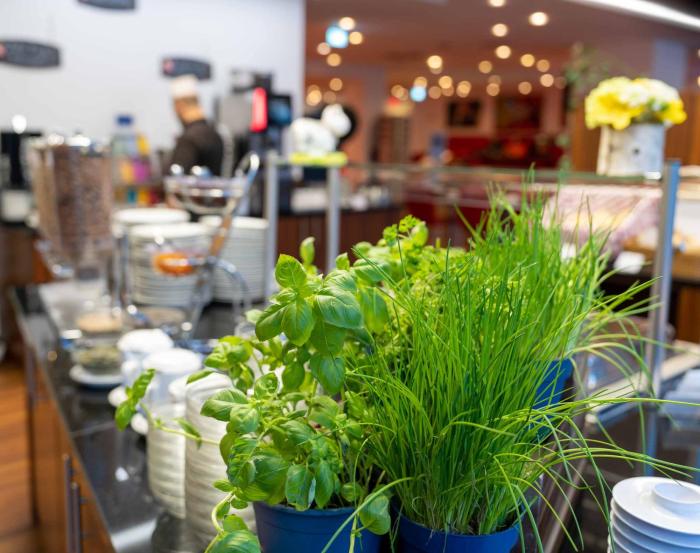 best western plus plaza berlin kurfuerstendamm