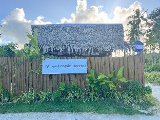 siargao tropic hostel