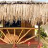 siargao tropic hostel