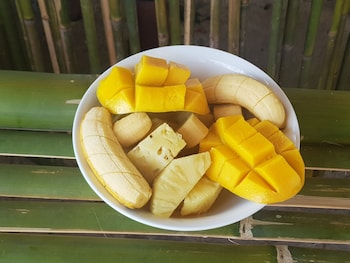 backpackers island beach camp adults only