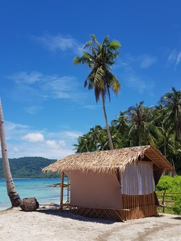 el nido