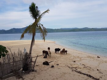 backpackers island beach camp adults only
