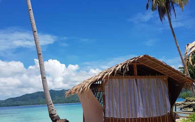 el nido