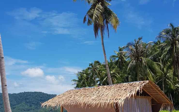 el nido