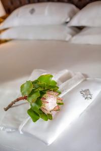 the giglio boutique hotel