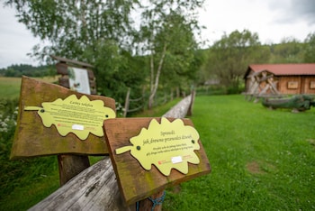 ustrzyki dolne
