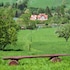 ustrzyki dolne